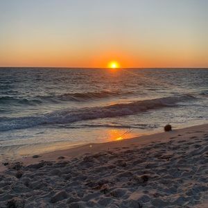 Meet your Posher, Edie